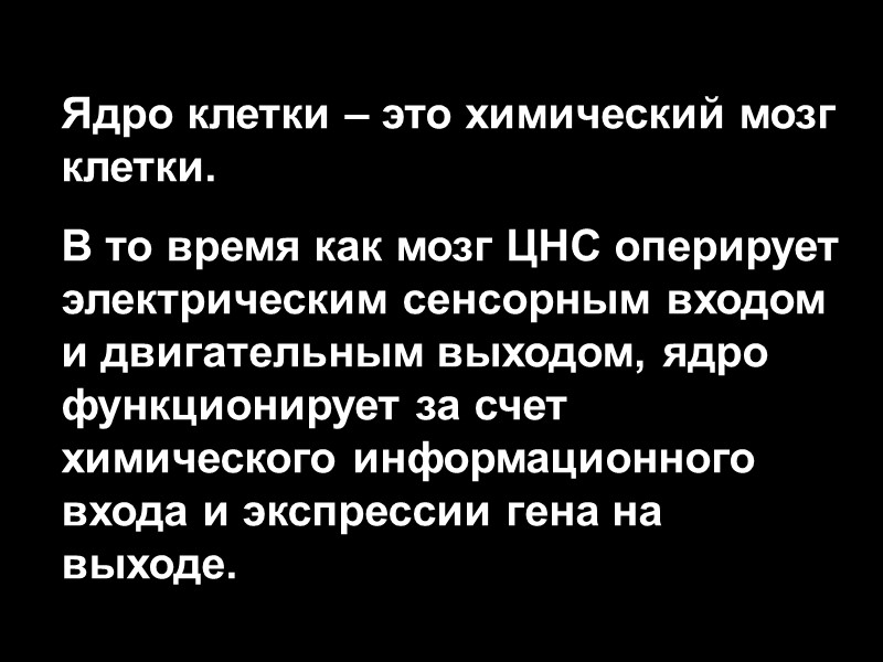 Ядро клетки – это химический мозг клетки. В то время как мозг ЦНС оперирует